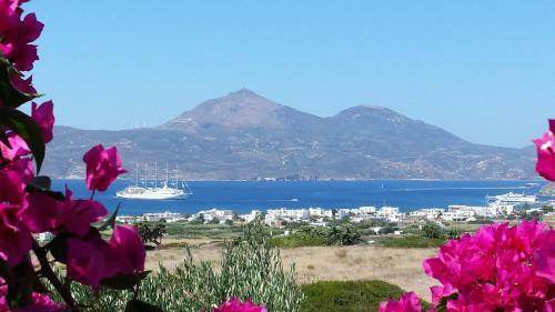 Apartamento Iliana Olive Branch
