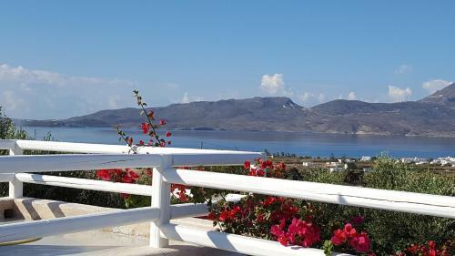 Apartamento Iliana Olive Branch