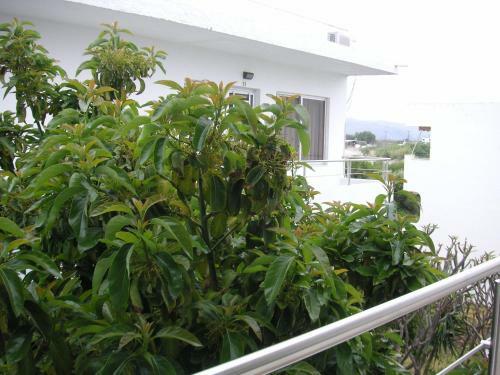 Hotel Haraki Mare Studios & Apartments
