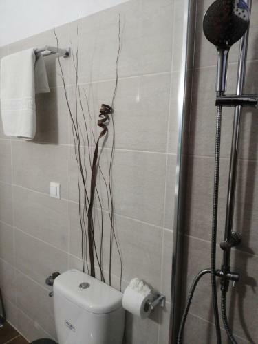 Apartamento Roza Studios