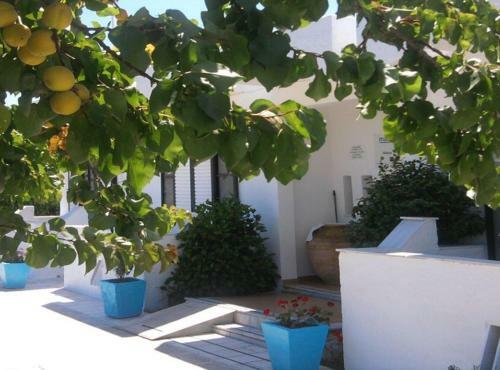 Nikos 2 Studios & Apartments