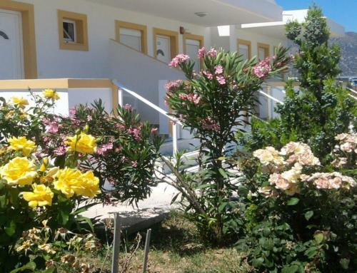 Nikos 2 Studios & Apartments