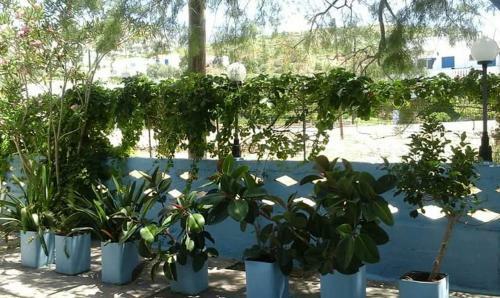 Bed & Breakfast Pension Balos
