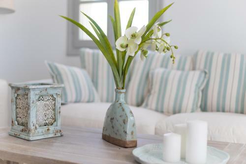 Villas Agia Irini Cove