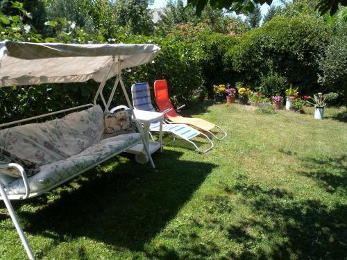 Apartment In Siofok/balaton 20011