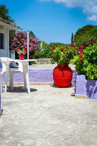 Apartamento Dk House