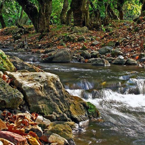 Apartamento Alpine Aria