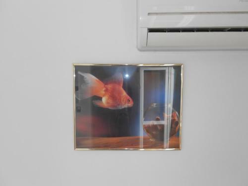 Zorbas Hotel & Studios