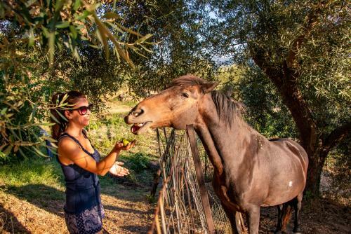 Apartamento Liodentro - Olea