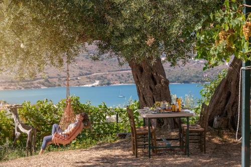 Apartamento Liodentro - Olea