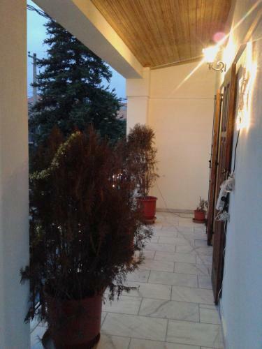 Hostal Zephyros