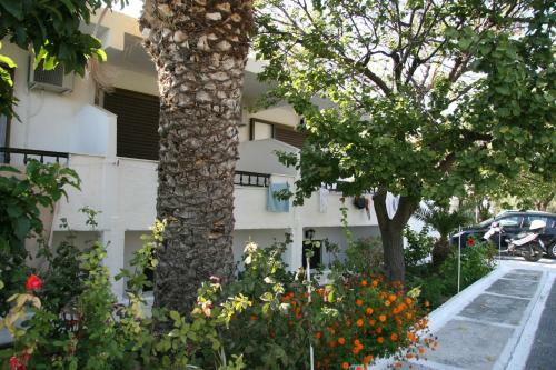 Studios Apartments Roxy