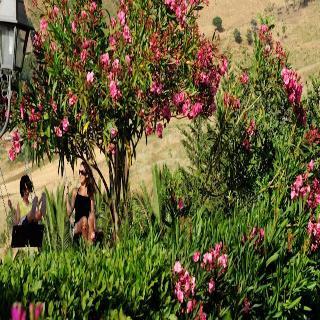Hotel Villa Dafne