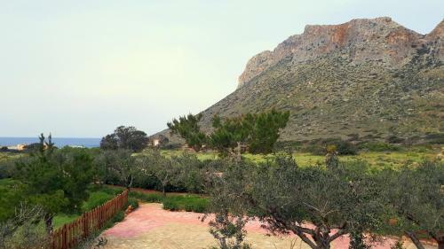 Artemis Village Apartments & Studios