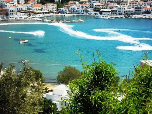 Hostal Blue Dolphin