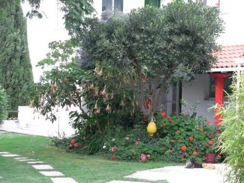 Hostal Villa Yiannis (Adult Friendly)