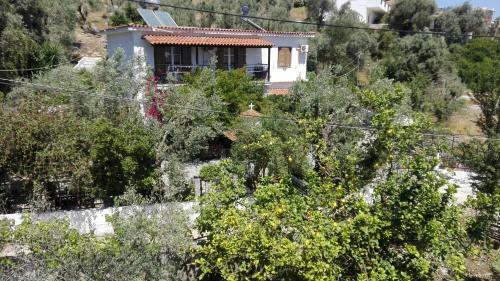 Apartamento Stelios Studios