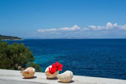 Paxos Sunrise Villas