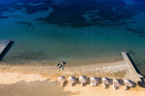 Hotel Bianco Olympico Beach Resort