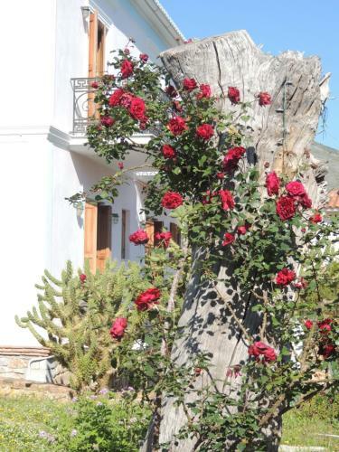 Archontiko Art Hotel
