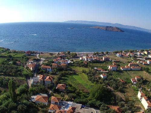 Apartamento Anaxos Gardens