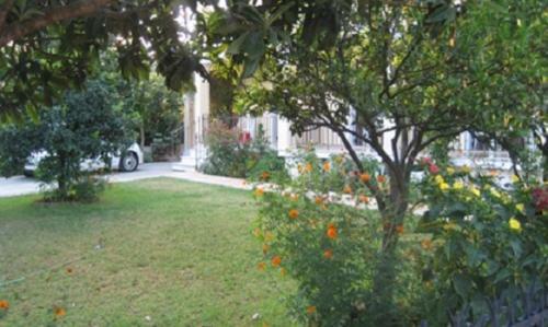 Apartamento Salvanos Residence