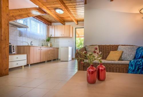 Apartamento Lofos Soilis