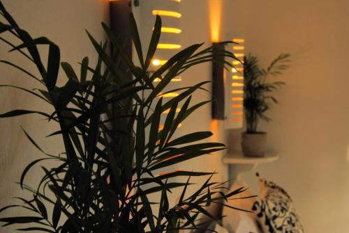 Hostal Fotinos House Skiathos