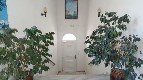 Aparthotel Hotel Rea