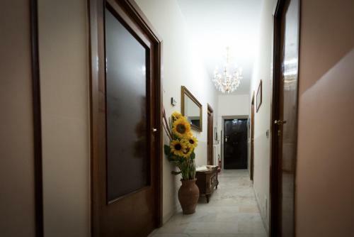 B&B Quo Vadis
