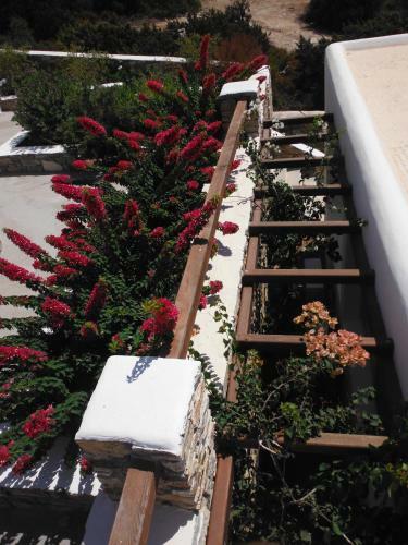 St George Antiparos Apartments