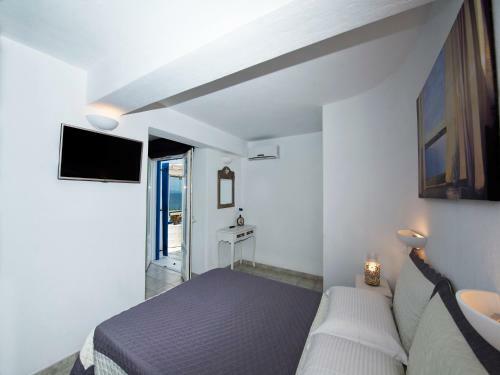 Aerides