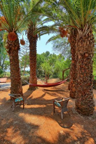 Hotel Apollonia Beach Resort & Spa