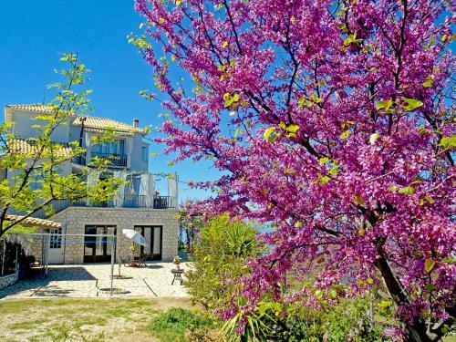 Apartamento Villa Matula