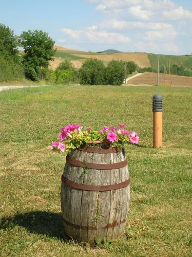 Agroturismo Agriturismo Il Poderino