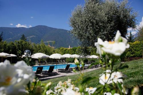 Hotel Pollinger