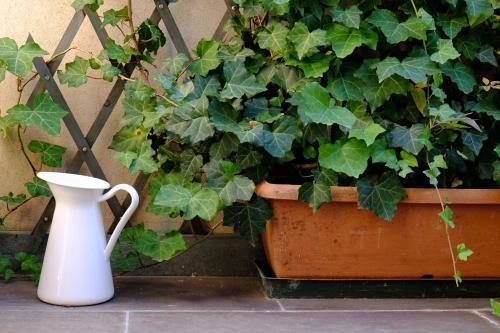 Petronilla - Hotel In Bergamo