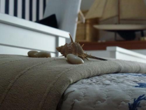 Apartamento Suite Blue Marine
