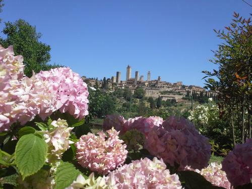 B&B Il Fienile