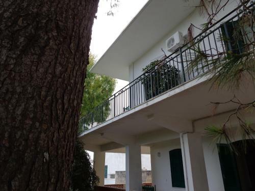 Villa Stasi B&B