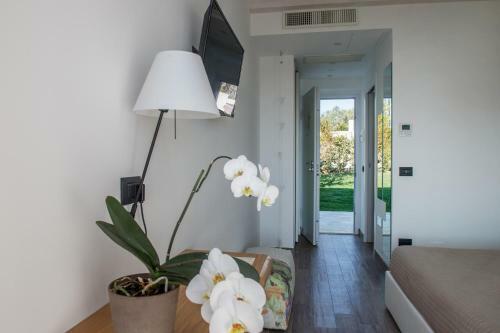 Bed & Breakfast Conero Suites