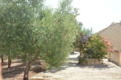 Agroturismo Agriturismo Masseria San Leonardo