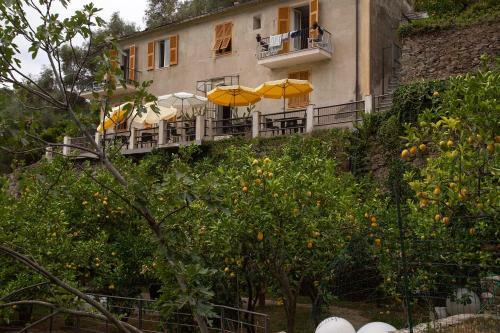 Bed & Breakfast La Casa Dei Limoni