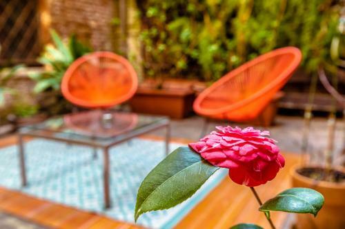 Hotel Avogaria 5 Rooms