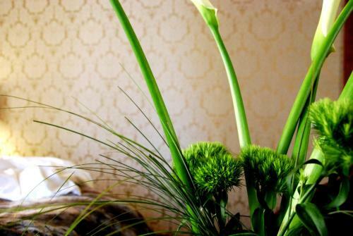 Hotel Avogaria 5 Rooms