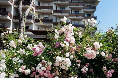 Hotel Michelangelo & Day Spa