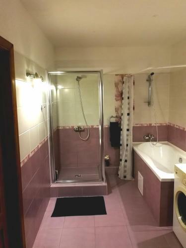 Old Town Lux Apartment