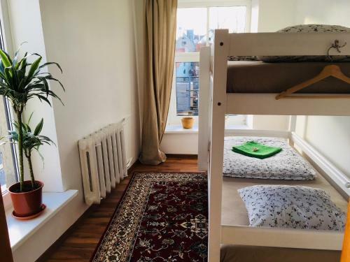 Albergue Tree House