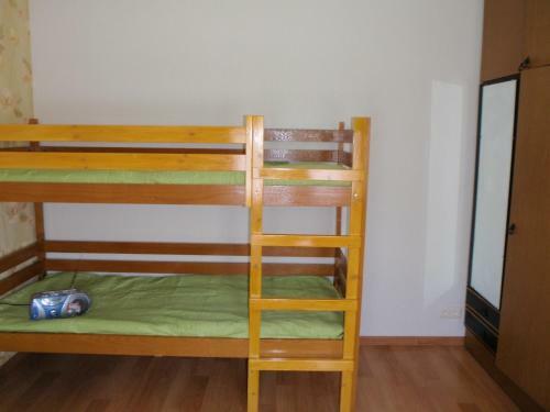 Ozola Street Apartment