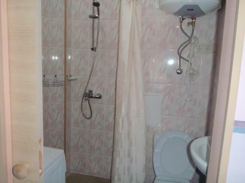 Ozola Street Apartment